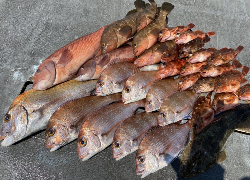 ４月３日。一つテンヤ便🦐🤗🦐