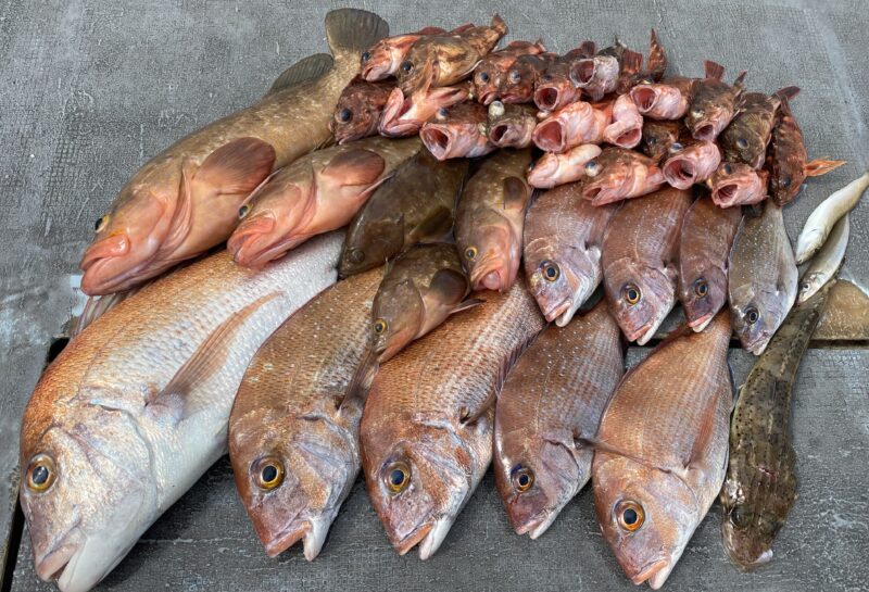 ４月５日。一つテンヤ便🦐🤗🦐