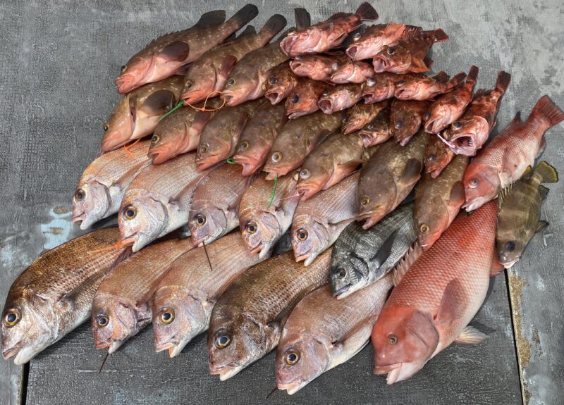 ４月１２日。一つテンヤ便🦐🤗🦐